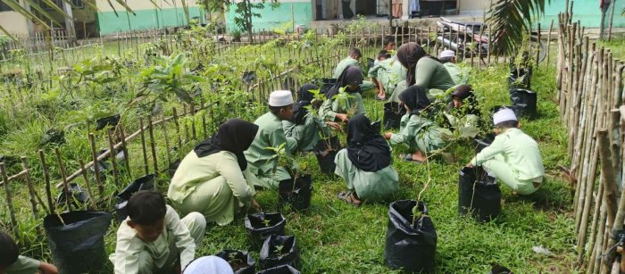 Min 1 Muaro Jambi Kegiatan P5 Siswa Siswi Kelas 6 Tanaman Cabai Hijau Min 1 Muaro Jambi Kegiatan P5 Siswa Siswi Kelas 6 Tanaman Cabai Hijau