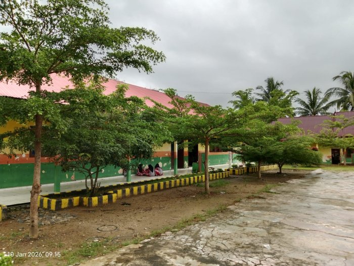 Hijau dan Sejuk, Keindahan Lingkungan MTsN 1 Bungo di Musim Hujan Hijau dan Sejuk, Keindahan Lingkungan MTsN 1 Bungo di Musim Hujan