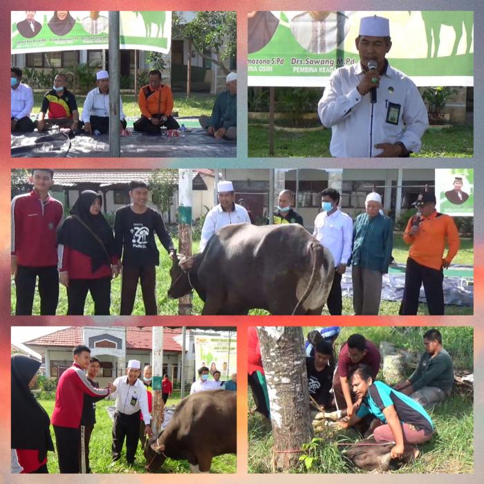 MAN 2 Kota Jambi Selenggarakan Kurban Tarbawi Guna Mencetak Generasi Berakhlak Mulia MAN 2 Kota Jambi Selenggarakan Kurban Tarbawi Guna Mencetak Generasi Berakhlak Mulia