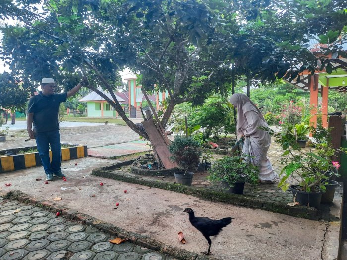 Menuju Madrasah Bermutu, Guru Piket Sabtu MTsN 1 Bungo Laksanakan Giat Menyapu