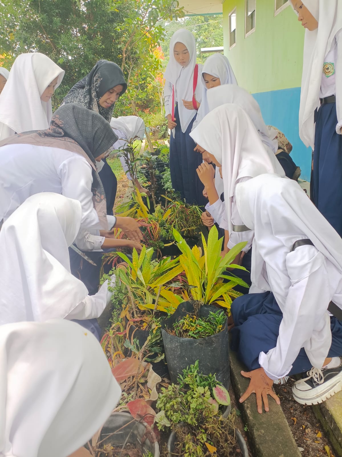 PROYEK PENGHIJAUAN MADRASAH, KOLABORASI LINTAS MATA PELAJARAN PROYEK PENGHIJAUAN MADRASAH, KOLABORASI LINTAS MATA PELAJARAN