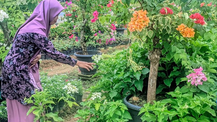 Wali Kelas 6B MIN 4 Tebo Mulai Penyegaran Taman dengan Belanja Bunga