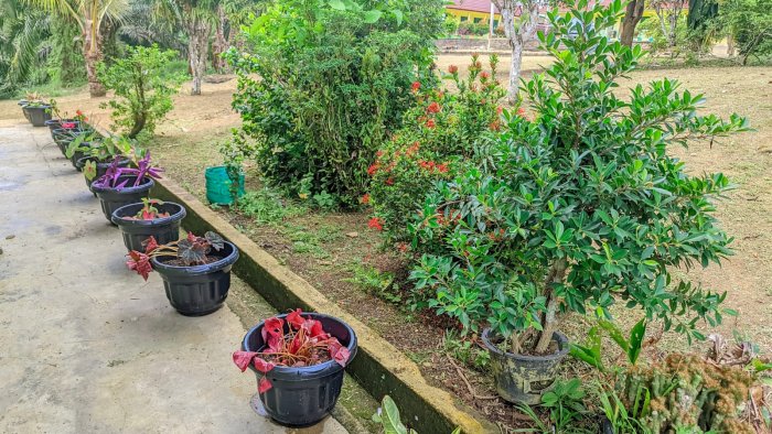 Kelas 2B MIN 4 Tebo Hiasi Depan Kelas dengan Pot Kembang Baru Kelas 2B MIN 4 Tebo Hiasi Depan Kelas dengan Pot Kembang Baru