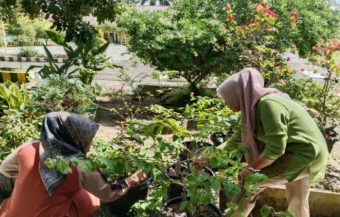 Rawat Kembang Agar Tetap Cantik, Ibu Anita Bersihkan Pot Bunga dari Gulma dan Sampah Rawat Kembang Agar Tetap Cantik, Ibu Anita Bersihkan Pot Bunga dari Gulma dan Sampah