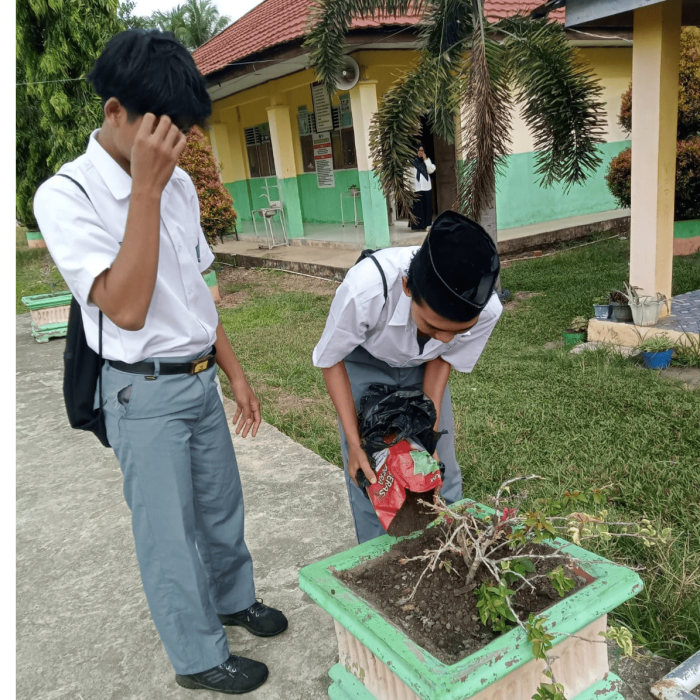 Madrasah Asri Siswa MAN 2 Tebo Lakukan Pemupukan Tanaman Hias Madrasah Asri Siswa MAN 2 Tebo Lakukan Pemupukan Tanaman Hias