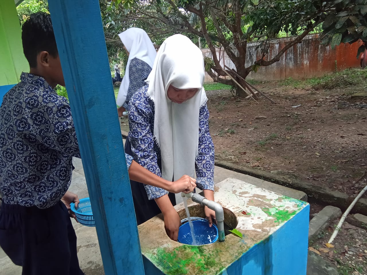 MTsN 5 Tebo BUDIDAYA KANGKUNG SISTEM HIDROPONIK