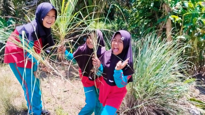 Toga MIN 4 Tebo, Kebun Kecil Penuh Manfaat Toga MIN 4 Tebo, Kebun Kecil Penuh Manfaat