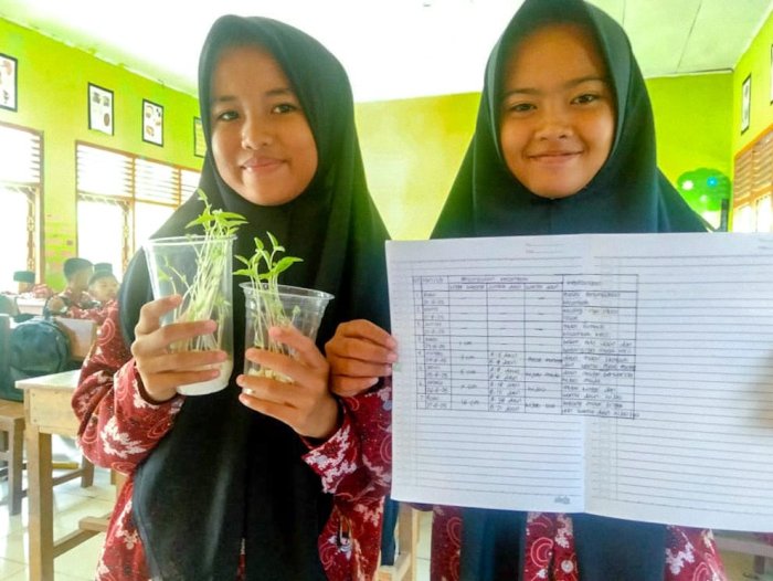 Siswa-Siswi Kelas VII B dan VII C MTsN 1 Bungo Sukses Gelar Proyek Ilmiah Laju Pertumbuhan Kecambah Bunga Siswa-Siswi Kelas VII B dan VII C MTsN 1 Bungo Sukses Gelar Proyek Ilmiah Laju Pertumbuhan Kecambah Bunga