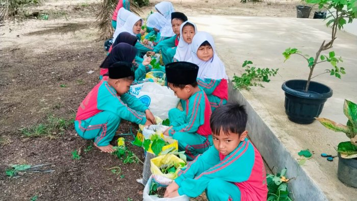 Kelas 1A MIN 4 Tebo Belajar Tanam Ubi Rambat di Depan Kelas Kelas 1A MIN 4 Tebo Belajar Tanam Ubi Rambat di Depan Kelas