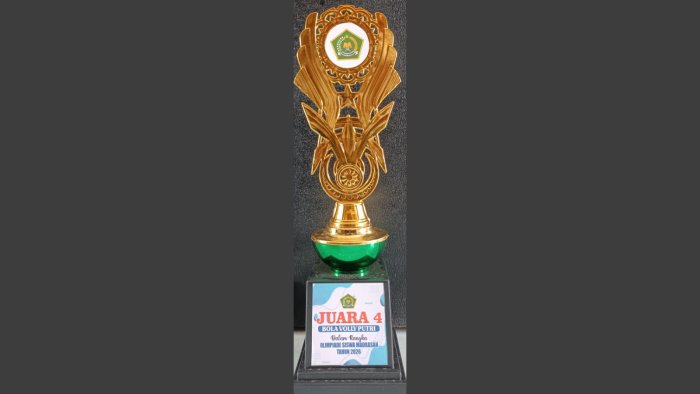 Sekilas Perjuangan Kontingen MIN 4 Tebo Rebut Piala di Lapangan OSM