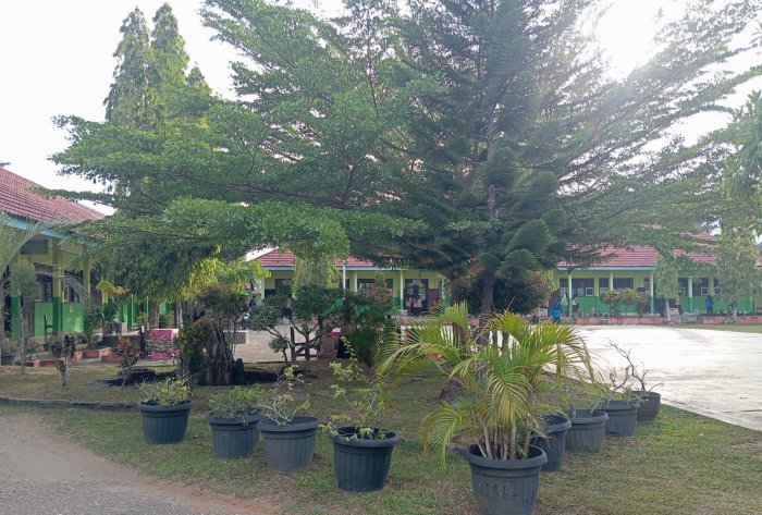 MAN 2 Bungo Gelar Gerakan Lingkungan Bersih dan Sehat, Wujudkan Madrasah Ramah Lingkungan MAN 2 Bungo Gelar Gerakan Lingkungan Bersih dan Sehat, Wujudkan Madrasah Ramah Lingkungan
