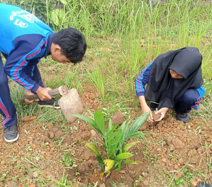 Guru Mulok MAN 2 Bungo Kenalkan Tanaman Sawit: Belajar Pertanian, Menanam Masa Depan Guru Mulok MAN 2 Bungo Kenalkan Tanaman Sawit: Belajar Pertanian, Menanam Masa Depan