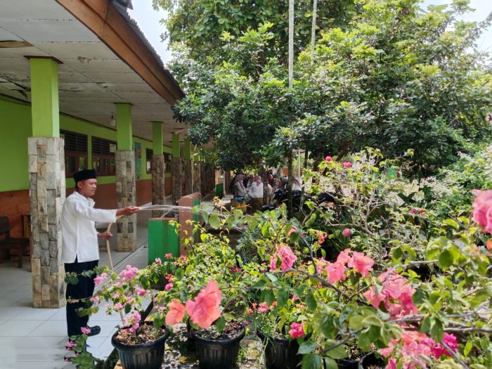 Menjaga Keindahan Sekolah, Staf TU MTsN 1 Bungo Sirami Bunga Saat Musim Kemarau