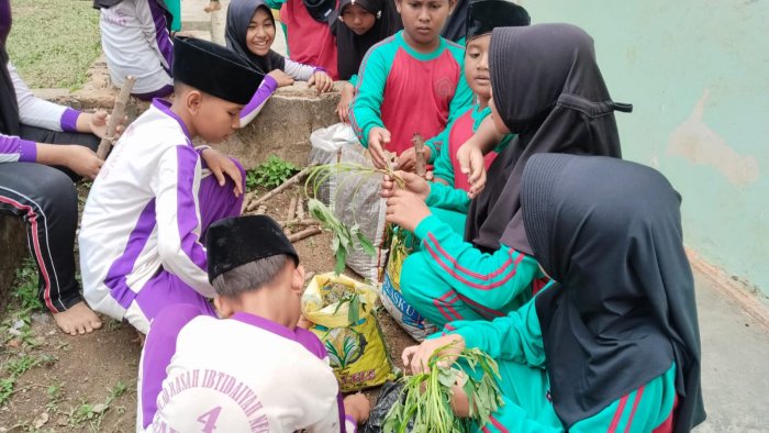 Belajar dari Alam Sekitar, Kelas 5A MIN 4 Tebo Tanam Ubi di Belakang Kelas