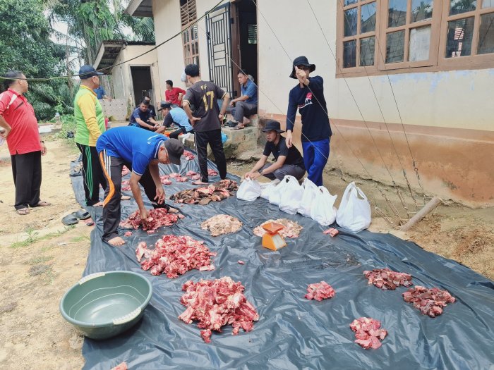 Tepat Sasaran dan Transparan, Panitia Kurban MTsN 2 Bungo Lakukan Penimbangan dan Distribusi Daging Sapi Kurban