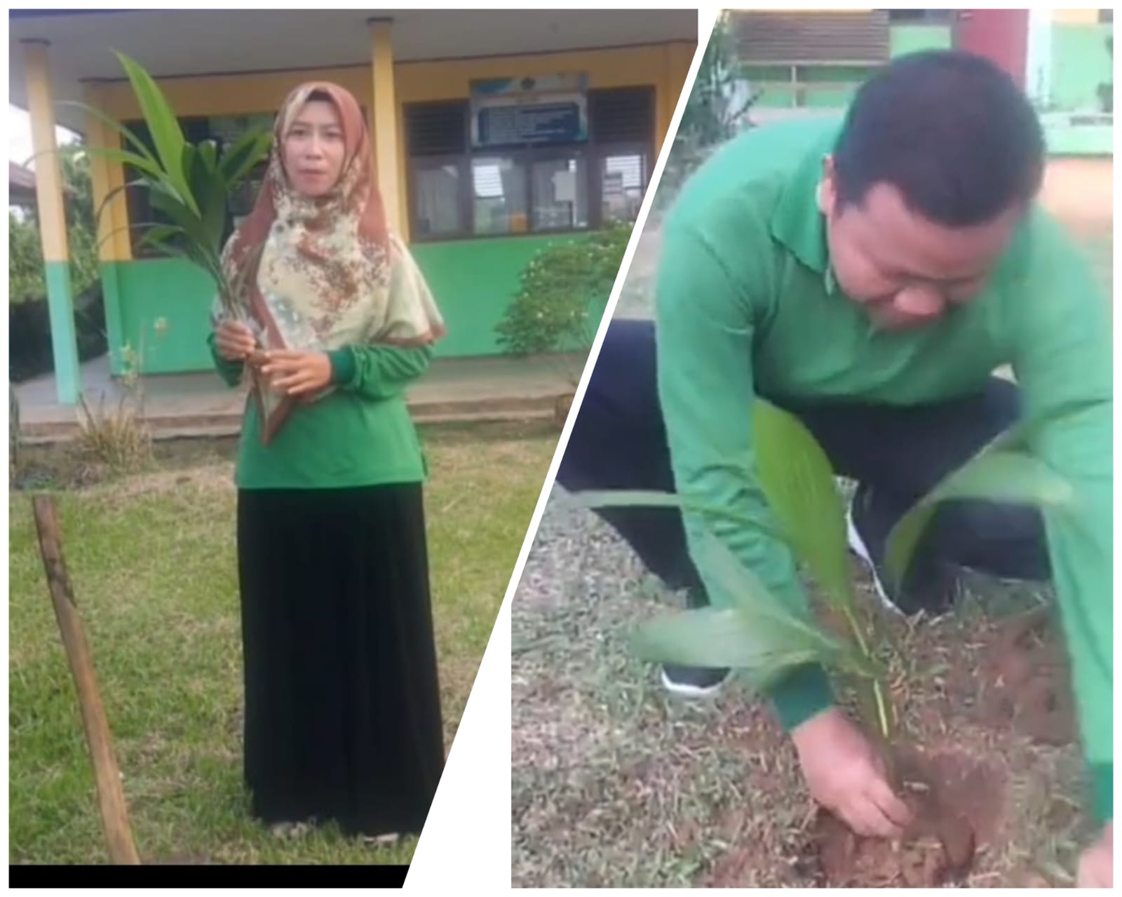 Pegawai Pemerintah dengan Perjanjian Kerja (PPPK) Tahap I Formasi Tahun 2024 MAN 2 Tebo Gelar Aksi Penanaman Pohon 