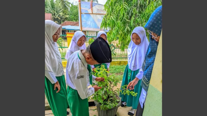 Kilas Balik 2025: Ekosistem Sehat MIN 4 Tebo - Mendidik Lewat Alam, Merawat dengan Hati