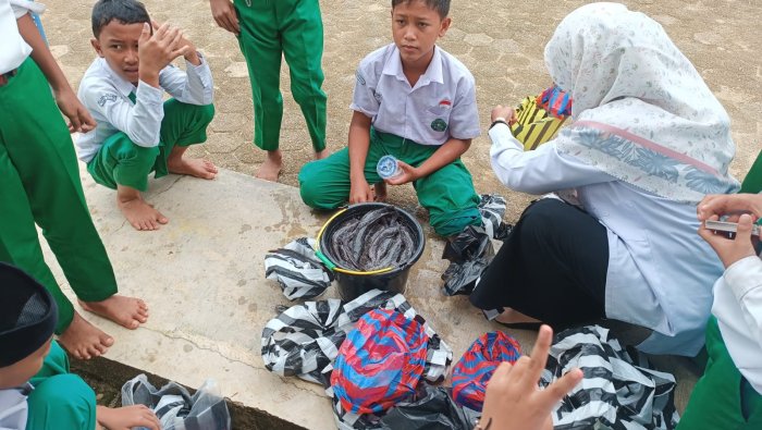 Panen Perdana Lele: Proyek Kokurikuler Kelas 6B MIN 4 Tebo Berbuah Hasil dan Pelajaran Hidup Panen Perdana Lele: Proyek Kokurikuler Kelas 6B MIN 4 Tebo Berbuah Hasil dan Pelajaran Hidup