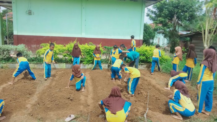 Pemanfaatan Lahan oleh Bapak Sutran Jadi Inspirasi Pembelajaran Fotosintesis Pemanfaatan Lahan oleh Bapak Sutran Jadi Inspirasi Pembelajaran Fotosintesis