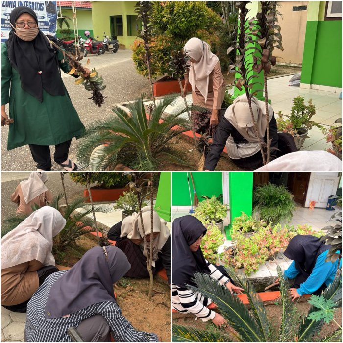 Guru dan Staf MAN 2 Bungo Gotong Royong Bersihkan Pekarangan Madrasah Guru dan Staf MAN 2 Bungo Gotong Royong Bersihkan Pekarangan Madrasah
