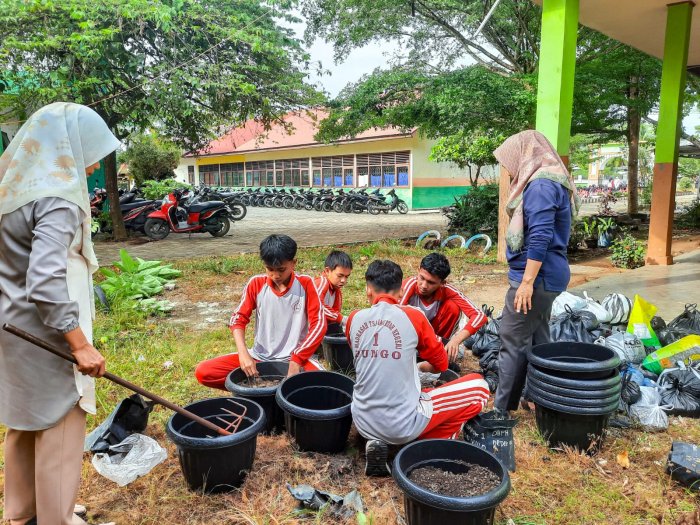 Siswa MTsN 1 Bungo Galakkan Penghijauan, Kumpulkan Pupuk Kandang untuk Tanaman Bunga Siswa MTsN 1 Bungo Galakkan Penghijauan, Kumpulkan Pupuk Kandang untuk Tanaman Bunga