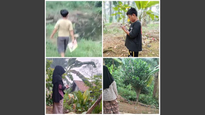 Manfaatkan Lingkungan Sekitar Rumah, Murid Kelas 5B MIN 4 Tebo Amati Ekosistem Saat Daring