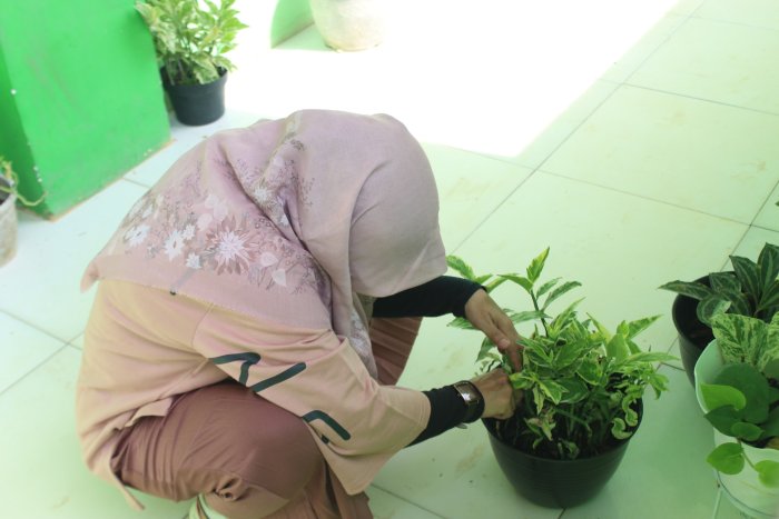 Sentuhan Dingin Ibu Gusriyanti: Pastikan Estetika dan Kesegaran Taman Kelas VII B Tetap Terjaga